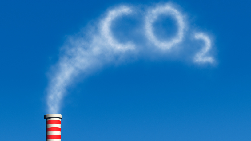 O alinhamento tributário dos créditos de carbono internacionais é avaliado por Leonardo Manzan.